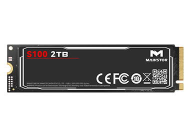 MS-SSD-S100